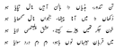 Kalam-i-Bahu Poetry