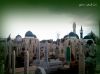 Syria Ziarat
