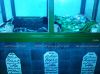 12_DSC_0332_resize.jpg