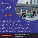 Kalam-i-Bahu Poetry