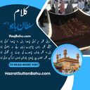 Kalam-i-Bahu Poetry