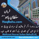 Sultan Bahu Quotes